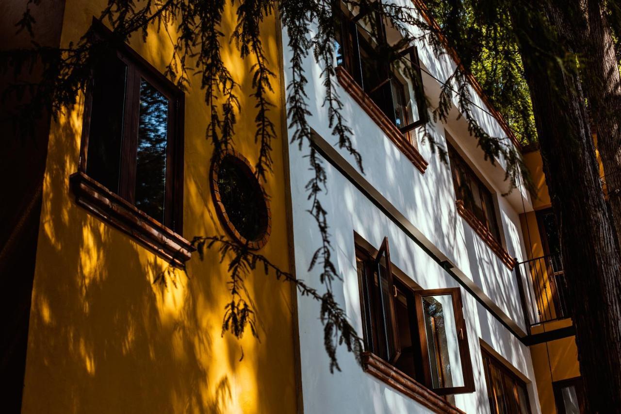 Casa Jacinta Guest House Mexiko-Stadt Exterior foto